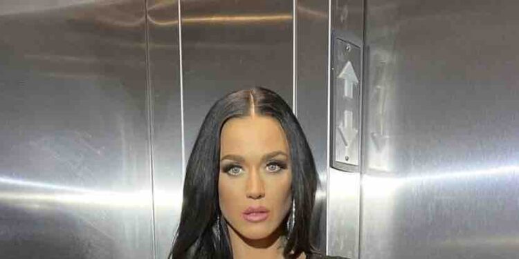 Katy Perry Fan Physically Goes After Singer